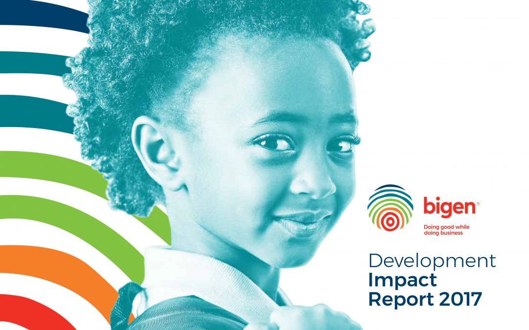 Development Impact Report 2017