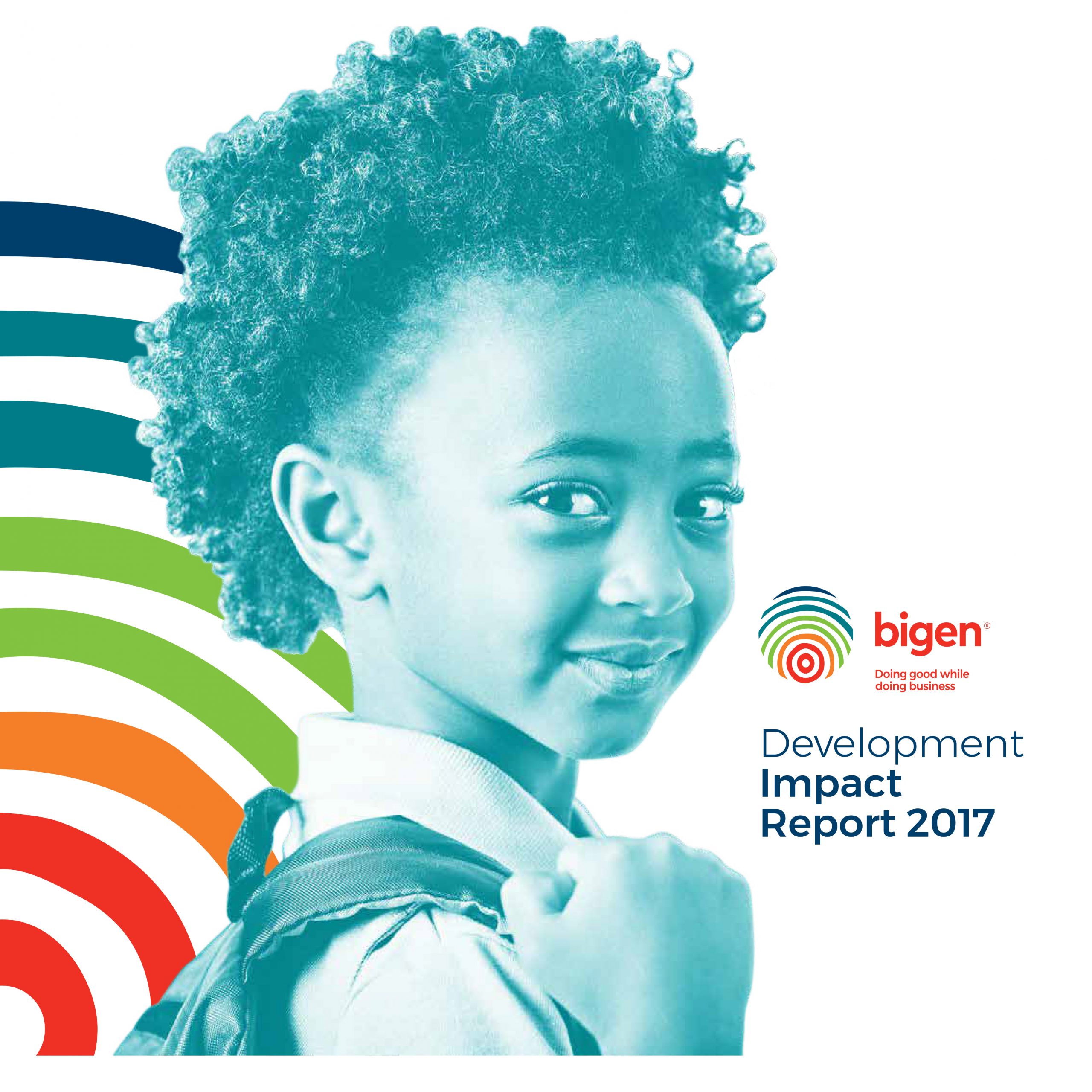 Bigen Group Development Impact Report 2017